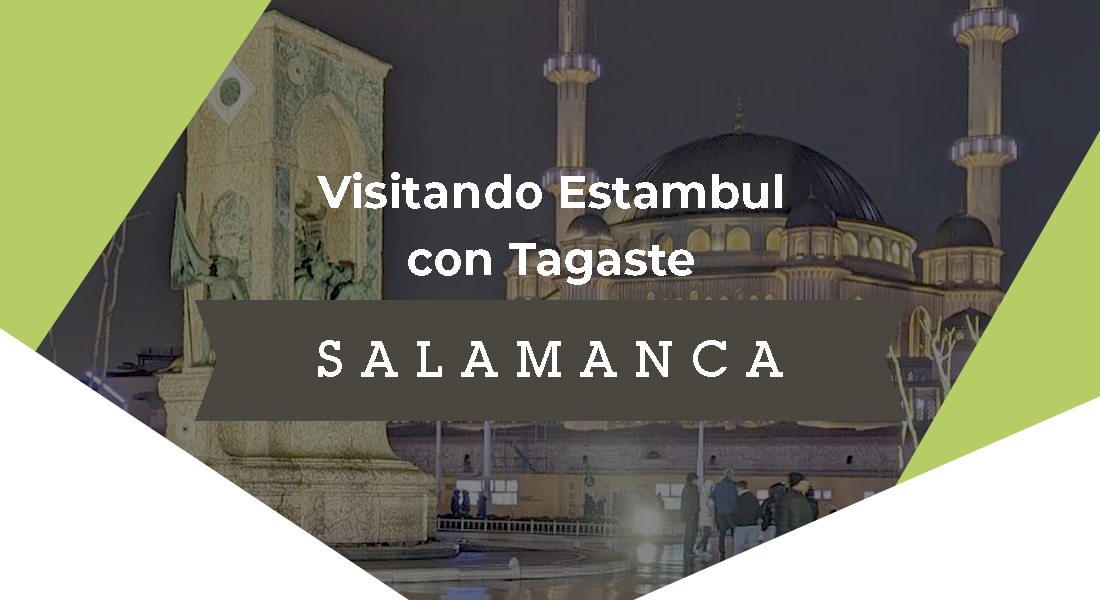 Mezquita de Estambul de noche