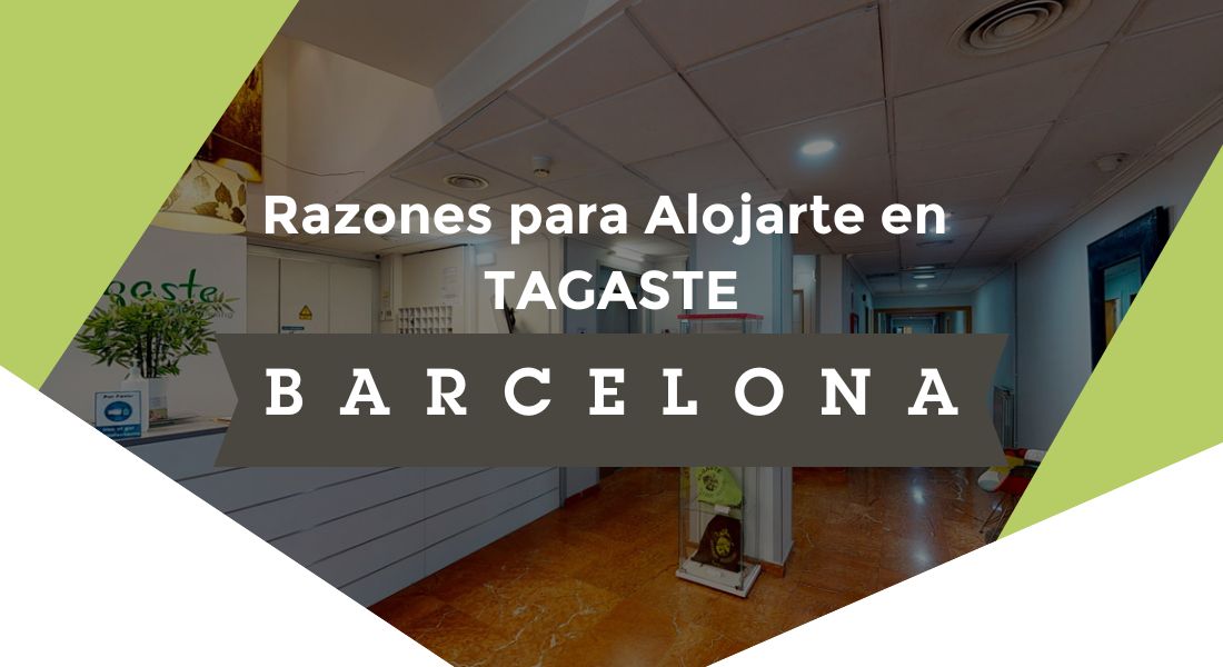 razones para alojarte en tagaste barcelona