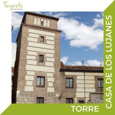 imagen de la torre y casa de los lujanes en madrid